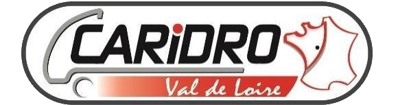 Logo CARIDRO